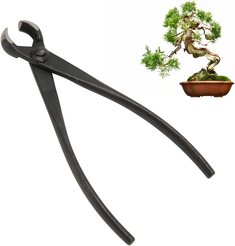 Hand Bonsai Cutter 175mm, Bonsai Concave Cutter for Branch Trimming, High Strength Manganese Steel with Ergonomic Handle, Precision Tool for Bonsai Modeling and Styling - Image 5