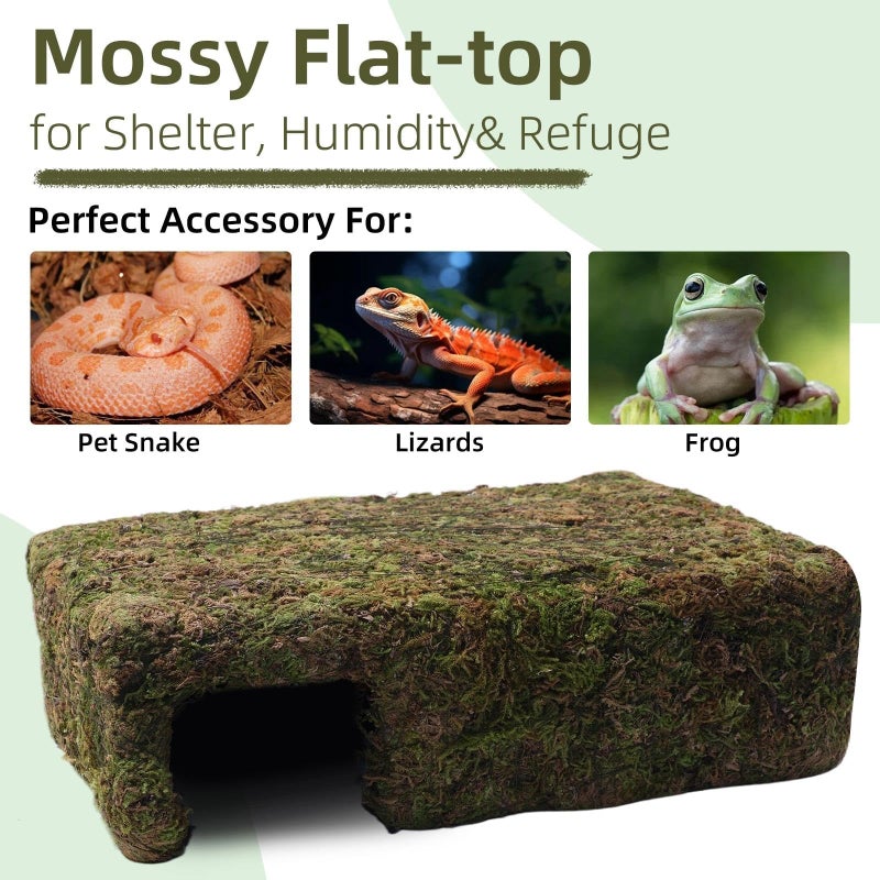 Hollima Mossy Cave Hide for Reptiles, Yellow Color Lizard Moss Hideout with Safe Shelter, Snake Cave Hut for Themed Terrarium Ideal for Gecko Hamster Snake to Rest & Hide - Image 5