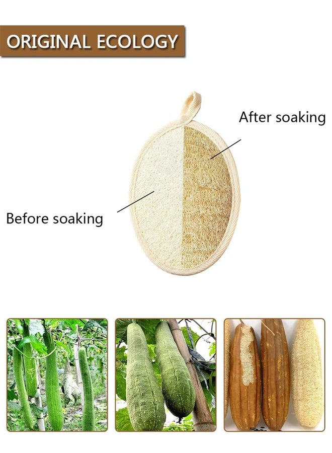 وهاواي 6PCS Natural Loofah Exfoliating Sponge Pads Facial Body Bath Shower Loofah Sponge Pad Exfoliating Scrubber Luffa Brush for Bath and Spa Beige - Image 4