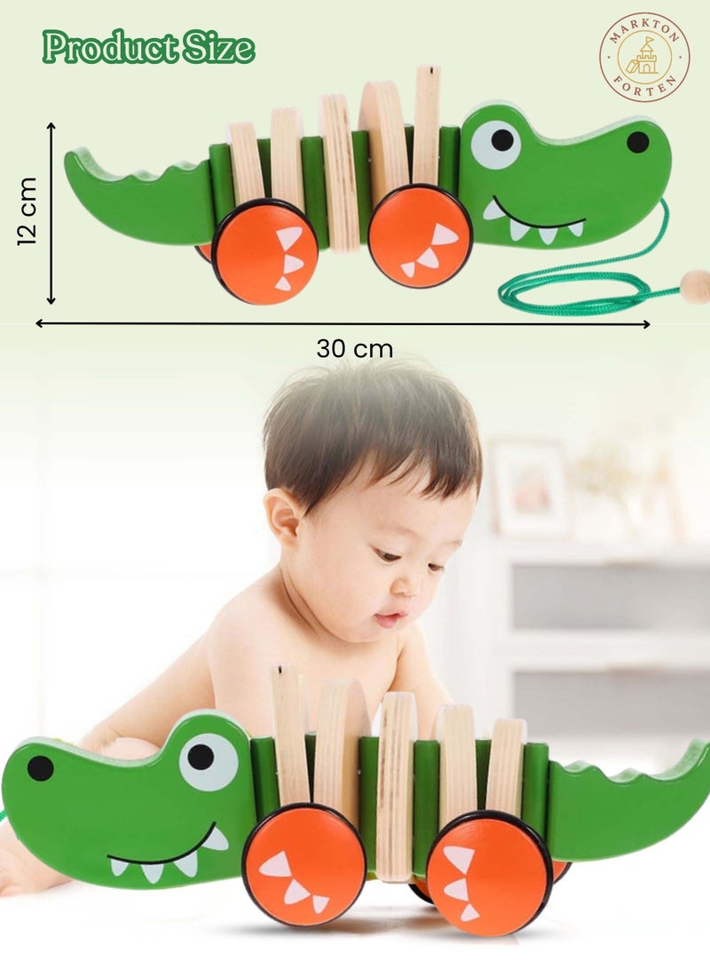 Montessori Wooden Pull Along Crocodile Toy for Toddlers and Kids - Fun Activity Walking Toy with Wheels and Pull String - Learning, Motor Skills, Indoor Outdoor Play - Educational Gift for Boys and Girls 3+ - Image 5