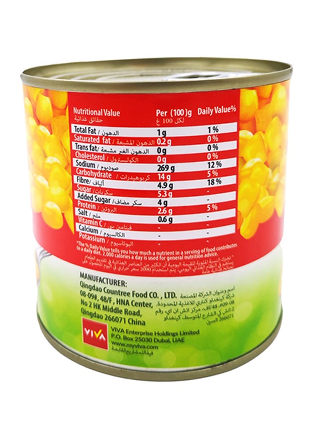 freshly pick Sweet Corn - Image 2