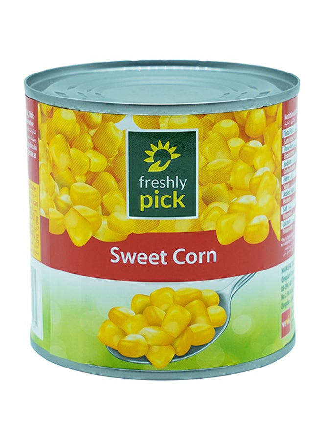 freshly pick Sweet Corn - Image 1