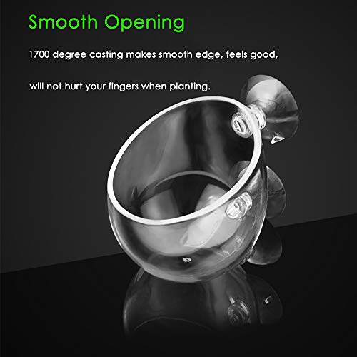 capetsma 2X Crystal Glass Aquatic Plant Pot, Planter, Red Shrimp Live Plants Fish Tank Holder with 4X Suction Cups for Aquarium Aquascape Decoration… - Image 5