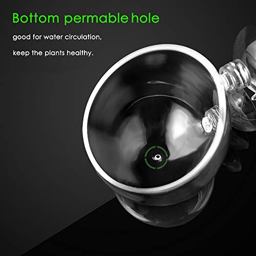 capetsma 2X Crystal Glass Aquatic Plant Pot, Planter, Red Shrimp Live Plants Fish Tank Holder with 4X Suction Cups for Aquarium Aquascape Decoration… - Image 4