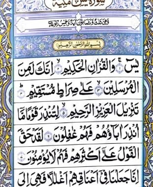 Generic Surah Yaseen medium size book in Arabic A610IDA  - Image 2