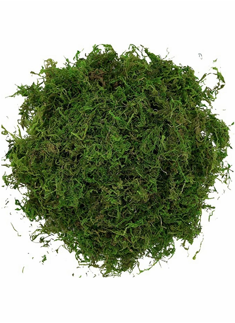 HomarKet - 100g Dark Green and 100g Grass Green Artificial Moss Fake Green Grass for Centerpieces Home Kitchen Garden Decor - Image 1