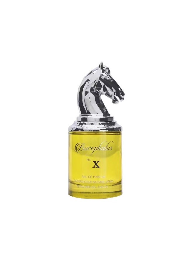 أرماف نيش عطر أرماف بوسيفالوس X للرجال - 100 مل - عطر رجالي فاخر مع مزيج رائع من النوتات العطرية  - Image 4