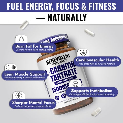l carnitine healthy options The Cognitive Edge: Why Acetyl L-Carnitine Is Fuel for Brain and Body –  Optimum Therapeutic Solutions