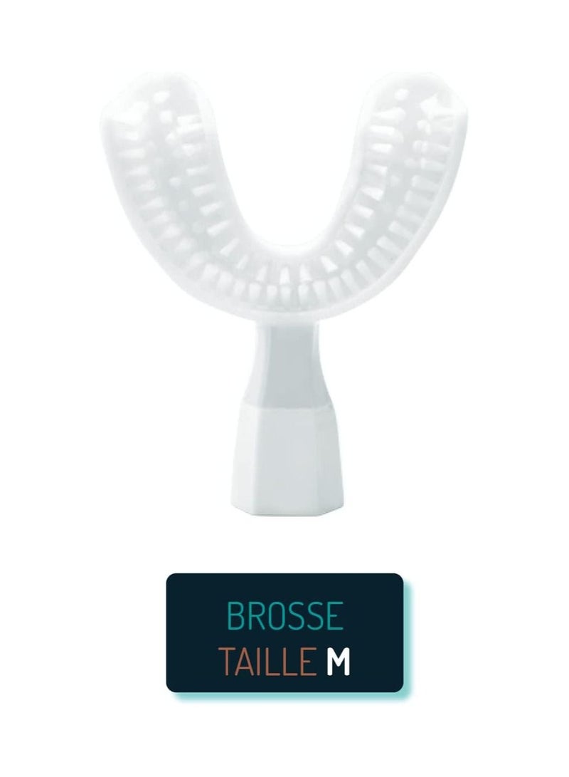 y-brush Y Brush Replacement Toothbrush for Adults - Renewable Every 6 Months - Image 2