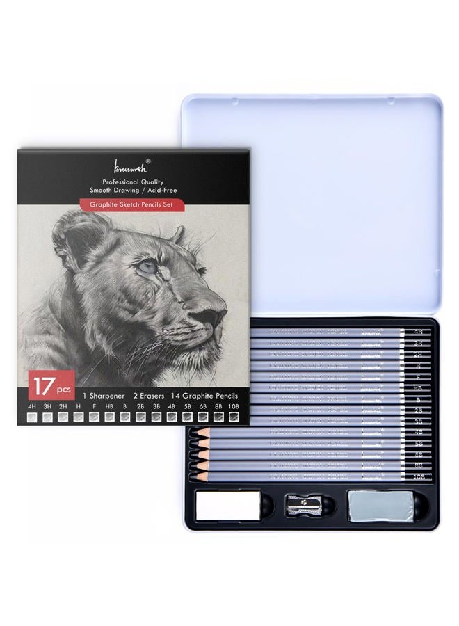 Brusarth Professional Sketch Pencils for Drawing Set - Graphite Pencils (4H-10B), Graphite Sticks, Erasers and Sharpener, Art Pencils for Sketching- Ideal for Artists and Beginners,17Pcs - Image 1