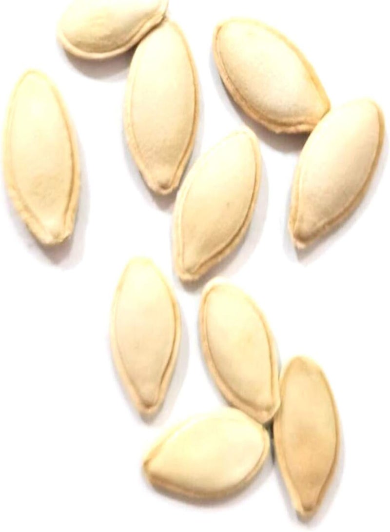 GGOOT Green Seeds, Safe and Harmless & Non-GMO,25Pcs/Bag Pumpkin Seeds Edible Low in Fat Banana Shape Melon Natural Seed Cuaurbit Seeds for Agriculture - Pumpkin Seeds - Image 5