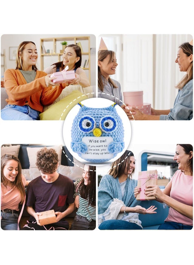 هومستر دمية البومة الجيب الإيجابية ، الدعم العاطفي المضحك لعبة البومة المنسوجة مع بطاقة إيجابية ، الطواشي الصوفي ، هدية التخرج ، تشجيع للأصدقاء - Image 2