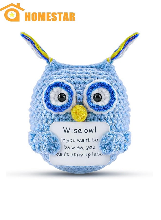 هومستر دمية البومة الجيب الإيجابية ، الدعم العاطفي المضحك لعبة البومة المنسوجة مع بطاقة إيجابية ، الطواشي الصوفي ، هدية التخرج ، تشجيع للأصدقاء - Image 1