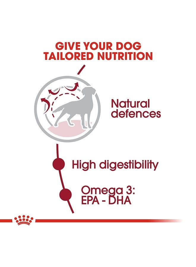 ROYAL CANIN Size Health Nutrition Medium Adult 15 KG - Image 4