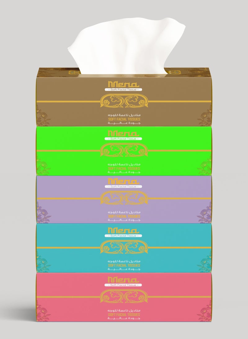 MENA FACIAL TISSUE 200SHEETSX1PLYx30 BOXES - Image 3