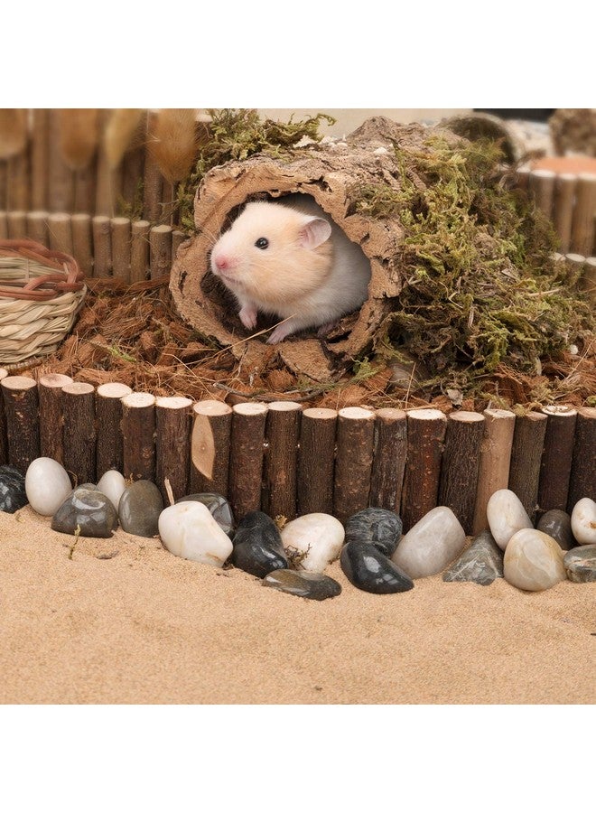 نيتينجيل لعبة جسر التعليق للهامستر من نايت أنجل - سلم خشبي طويل للتسلق للهامستر والفئران والجربوع والسنجاب الطائر والجرذان والحيوانات الصغيرة الأخرى (25.6 طول × 2.8 عرض) - Image 4