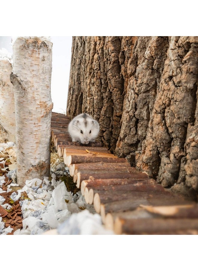 نيتينجيل لعبة جسر التعليق للهامستر من نايت أنجل - سلم خشبي طويل للتسلق للهامستر والفئران والجربوع والسنجاب الطائر والجرذان والحيوانات الصغيرة الأخرى (25.6 طول × 2.8 عرض) - Image 3