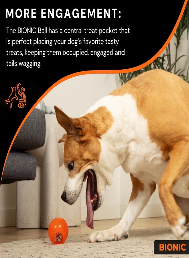 BIONIC Ball Dog Toy, Medium - Interactive Dog Chew Toy That Stands Up to The Toughest Chewers, for Dogs Between 15-35 lbs. (7-15 kg.) - Image 5