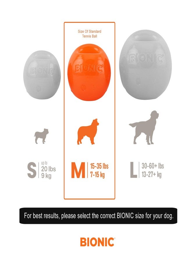 BIONIC Ball Dog Toy, Medium - Interactive Dog Chew Toy That Stands Up to The Toughest Chewers, for Dogs Between 15-35 lbs. (7-15 kg.) - Image 2