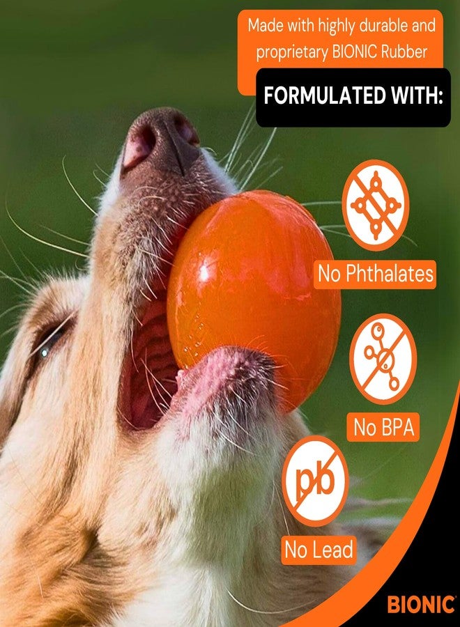 BIONIC Ball Dog Toy, Medium - Interactive Dog Chew Toy That Stands Up to The Toughest Chewers, for Dogs Between 15-35 lbs. (7-15 kg.) - Image 4