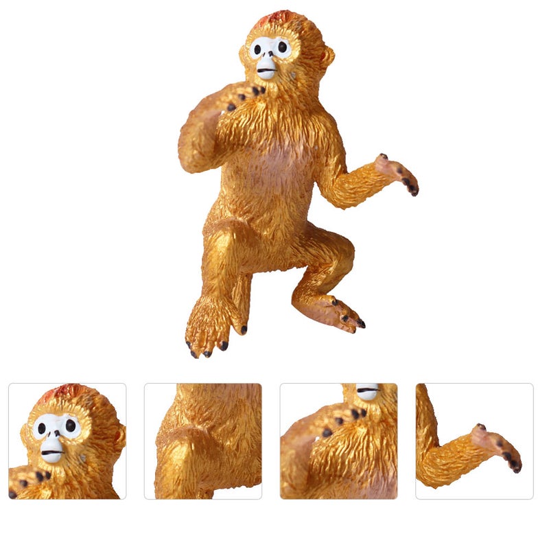 🧸 تمثال واقعي من بلاستيك في سي مصنوع يدوي ا متين للعرض والتعليم - Image 4