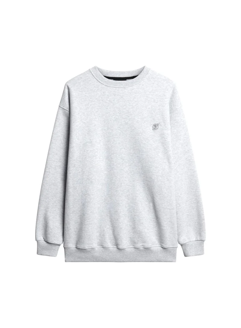 Superdry  Blank Oversized Crew Sweatshirt for Men | Best Price UAE