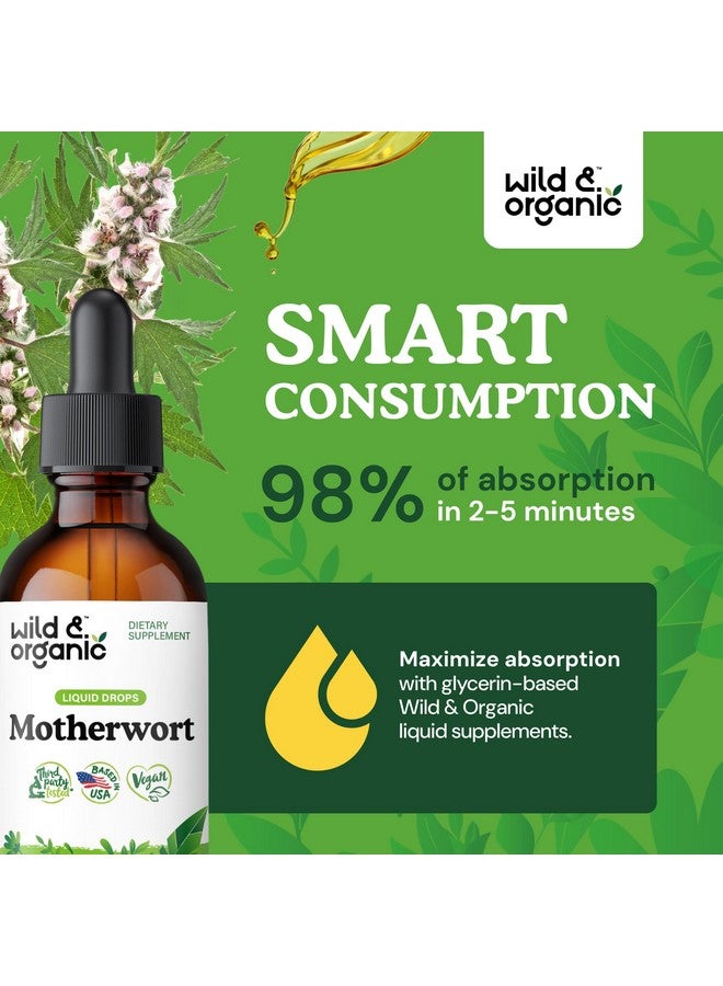 Wild & Organic صبغة الأم العشبية البرية والعضوية - مزاج جيد، هدوء، دعم للنساء - قطرات مستخلص عشبة الأم - مكمل نباتي، خالي من السكر والكحول - 2 أونصة سائلة - Image 4