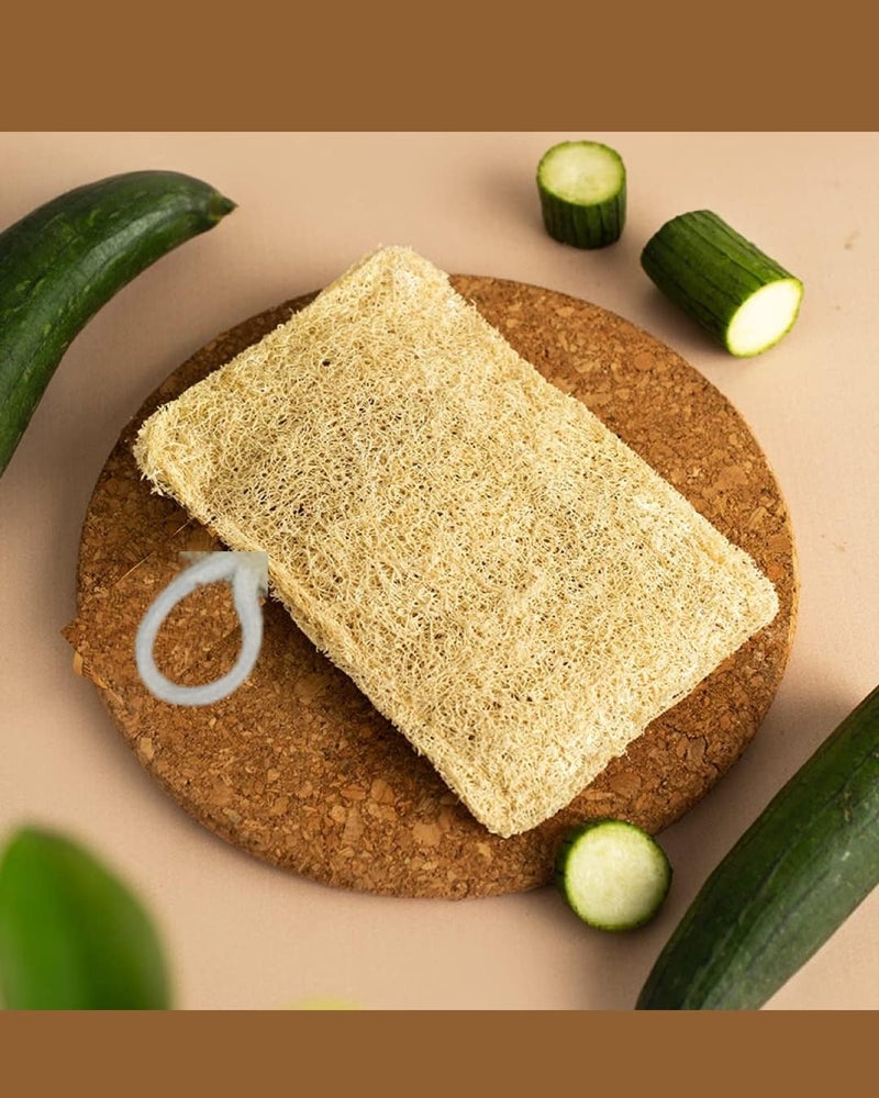MARMORIS ECOM Natural Loofah Body Scrubber, Organic Eco-Friendly Sun Dried Bath Sponge, Gentle Exfoliating Loofah with Hanging Loop, Ideal for Women & Men, Ridge Gourd Fibre, Lightweight Cleansing Scrub (Rectangle- Pack of 1) - Image 4