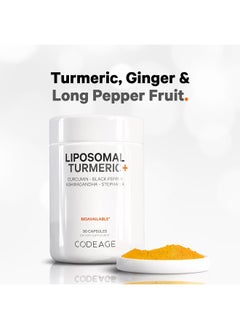 Fermented Turmeric Supplement, Extra Strength Curcumin Infused with Organic Essential Oil and Digestive Bitters, Joint and Heart Health, 90 Capsules - pzsku/Z0D1045D5210CA4841915Z/45/_/1741000328/4a670c2e-be45-4063-b96f-7164d06777fb