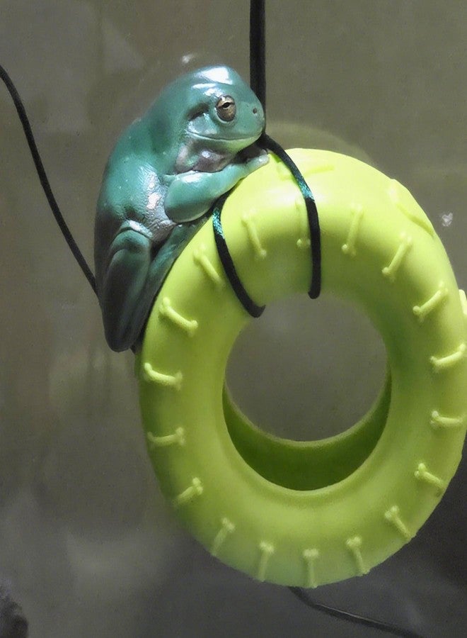 JSLZF 2PCS Tree Frog Habitat Frog Tank Accessories Terrarium Decor Frog Climbing Swing with Suction Cup Hook Green Rubber Climbing Toy for Frogs - Image 4