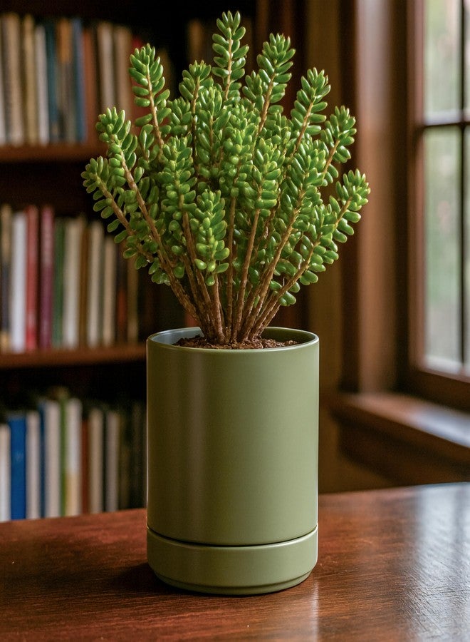 D'vine Dev 6 Inch Ceramic Planter Pot with Drainage Hole and Saucer, Indoor Cylinder Round Planter Pot, Olive, 94-O-C-J - Image 5