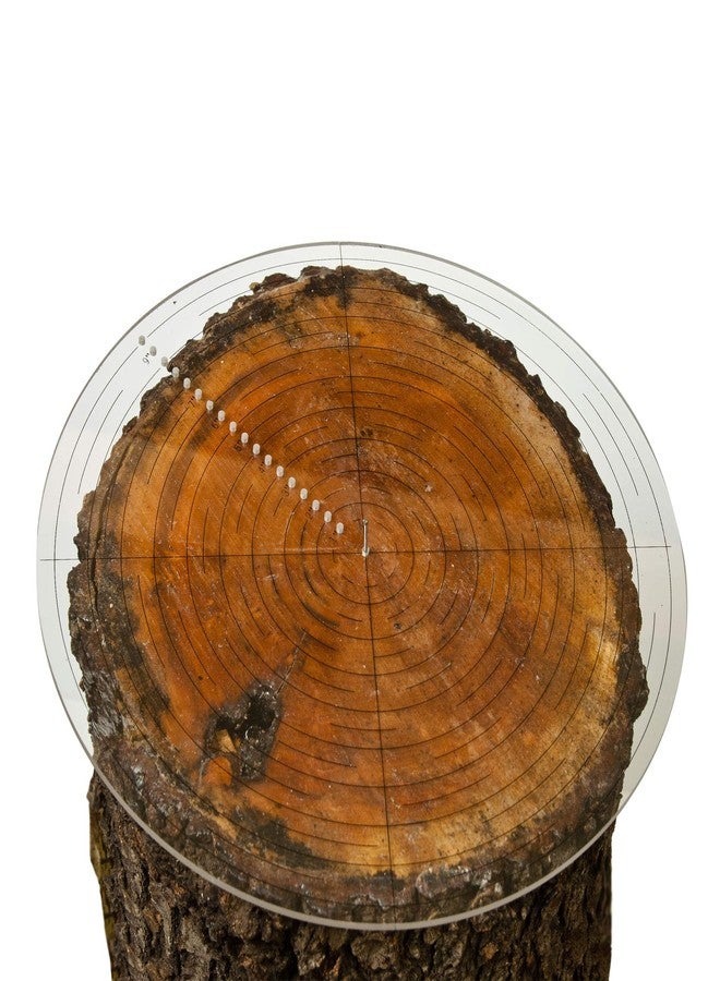 فولتون بوصلة فولتون لتحديد مركز النجارة، مقاس ١٠ بوصات، لرسم الدوائر، وتحديد مركز جذوع الأشجار، والقطع الخشبية العادية أو الأشكال غير المنتظمة، وأدوات قياس للمخرطة وآلات الخراطة، مصنوعة من الأكريليك الشفاف. - Image 4