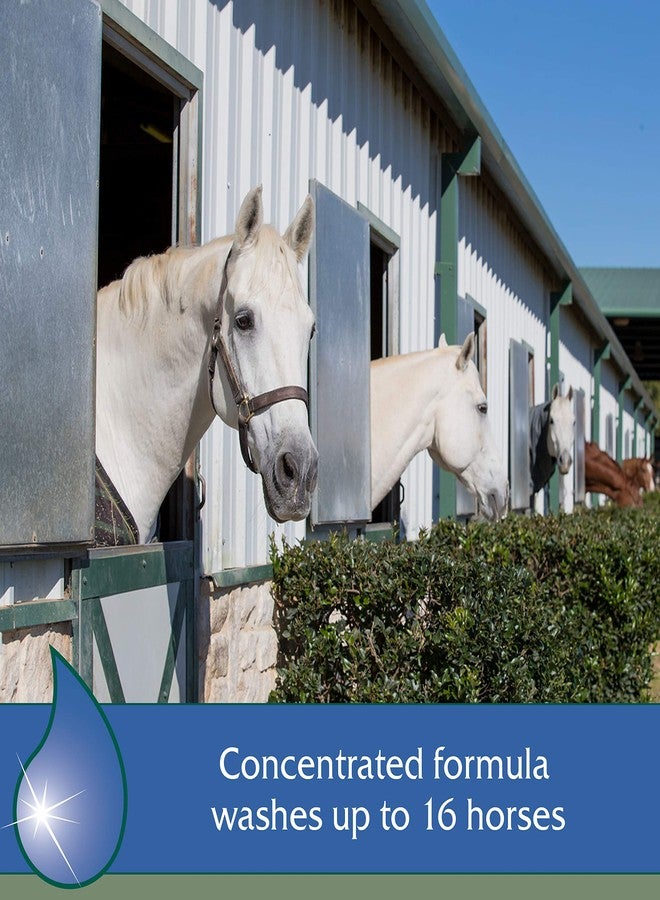 Farnam Vetrolin Bath Ultra-Hydrating Shampoo for Horses and Dogs, 32 Ounces - Image 5