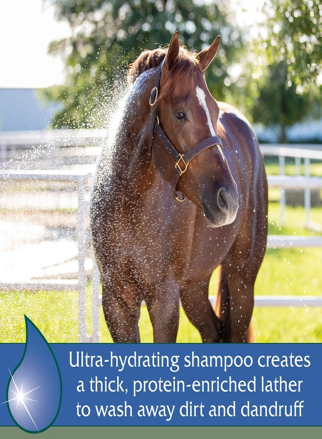Farnam Vetrolin Bath Ultra-Hydrating Shampoo for Horses and Dogs, 32 Ounces - Image 2