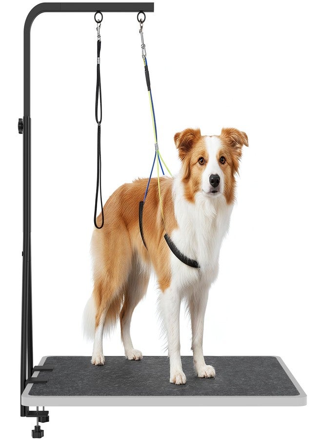 OFIDELITY 42" H Adjustable Height Dog Grooming Arm with double Clamp, Dogs Grooming Table Arm with Loop Noose and No Sit Haunch Holder, Perfect dog restraint for Small & Medium Dogs，Arm for Grooming Tables - Image 1