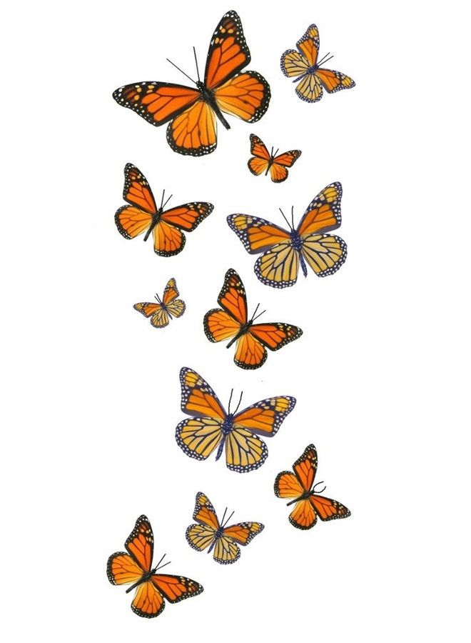 Butterfly Utopia 55 Monarch Butterfly Temporary Tattoos - Image 1
