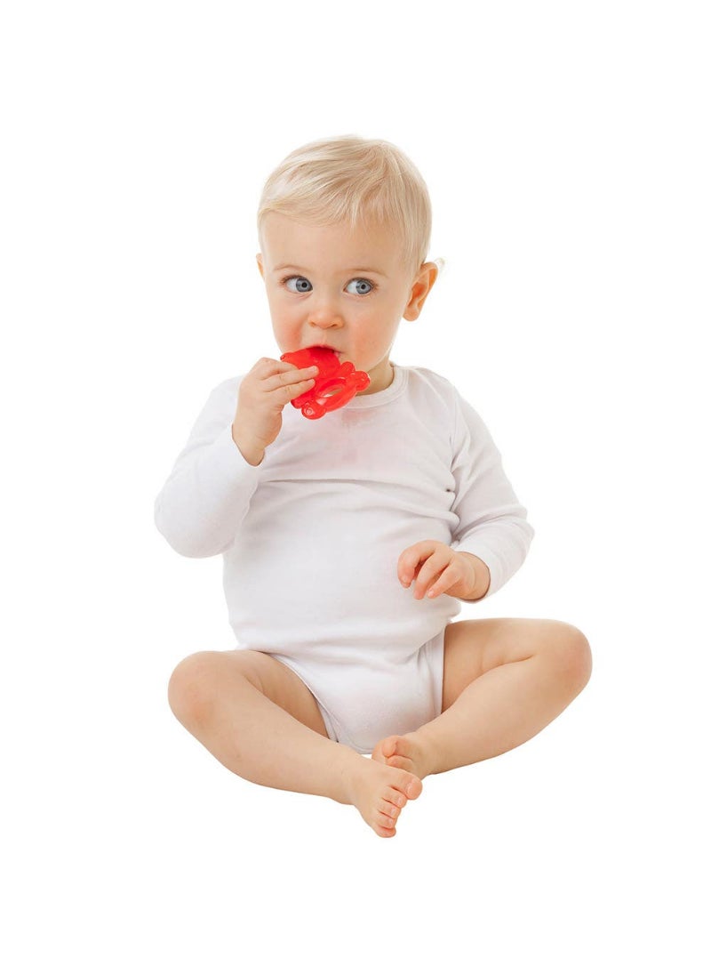 Playgro Cool Panda Water Teether