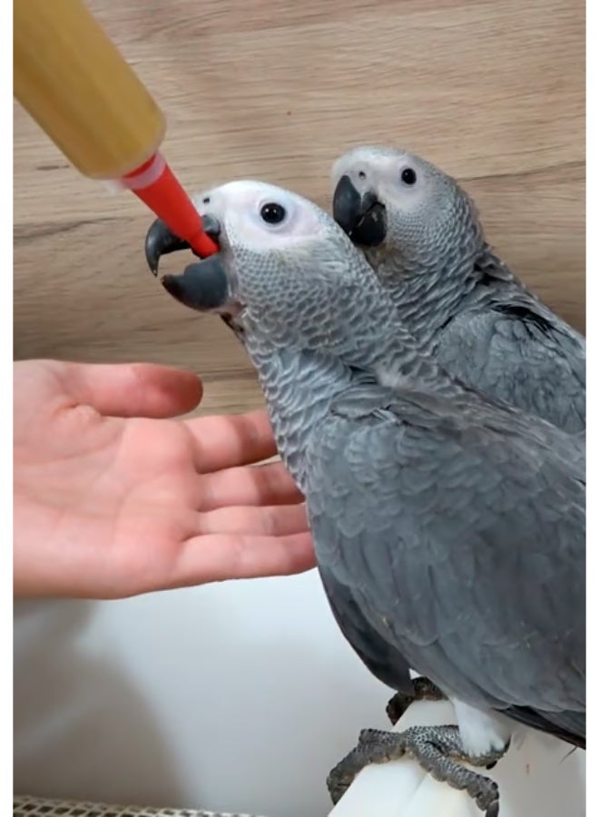 PSITTACUS Hand Feeding Syringe with Red Soft Feeding Tube – Safe Feeding Syringe for Baby Birds, Parrots & Small Animals - 20ml - Image 2