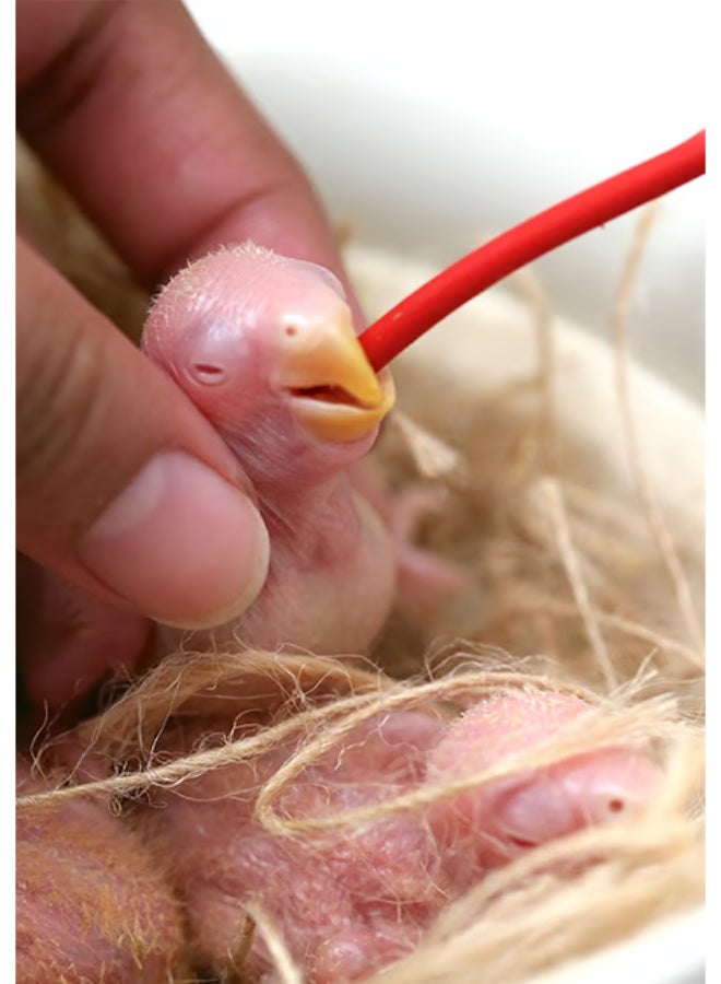 PSITTACUS Hand Feeding Syringe with Red Soft Feeding Tube – Safe Feeding Syringe for Baby Birds, Parrots & Small Animals - 20ml - Image 4