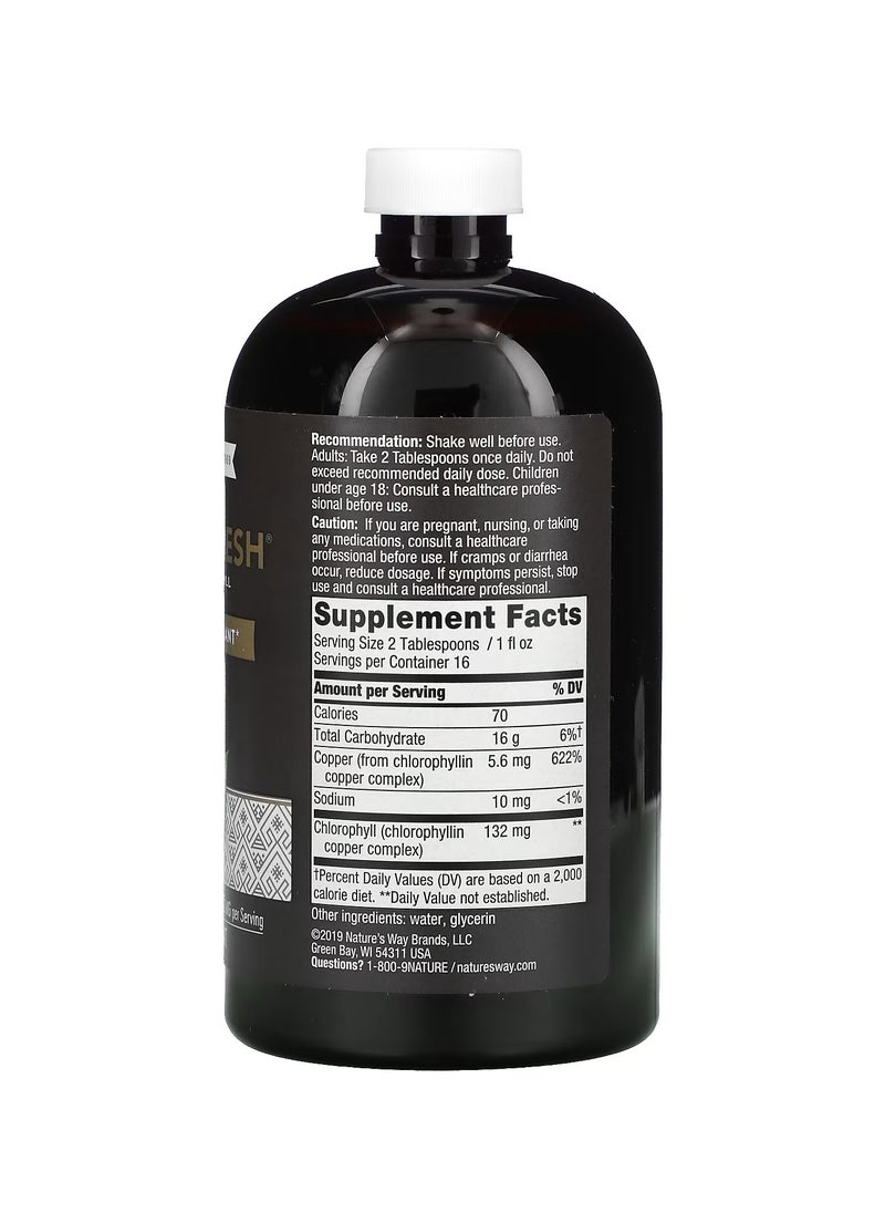 Nature way - Chlorofresh Liquid Chlorophyll Unflavored 480 ml - Image 1