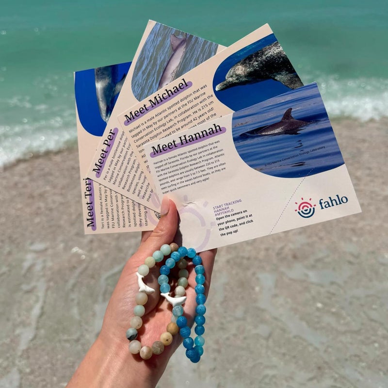 Fahlo Dolphin Tracking Bracelet â€“ Elastic, One Size Fits Most â€“ Supports FIU Marine Mammal Ecology Lab â€“ Track a Real Dolphin on Interactive Mobile App Map â€“ Unisex Gift for Men & Women (Aqua Blue) - Image 1