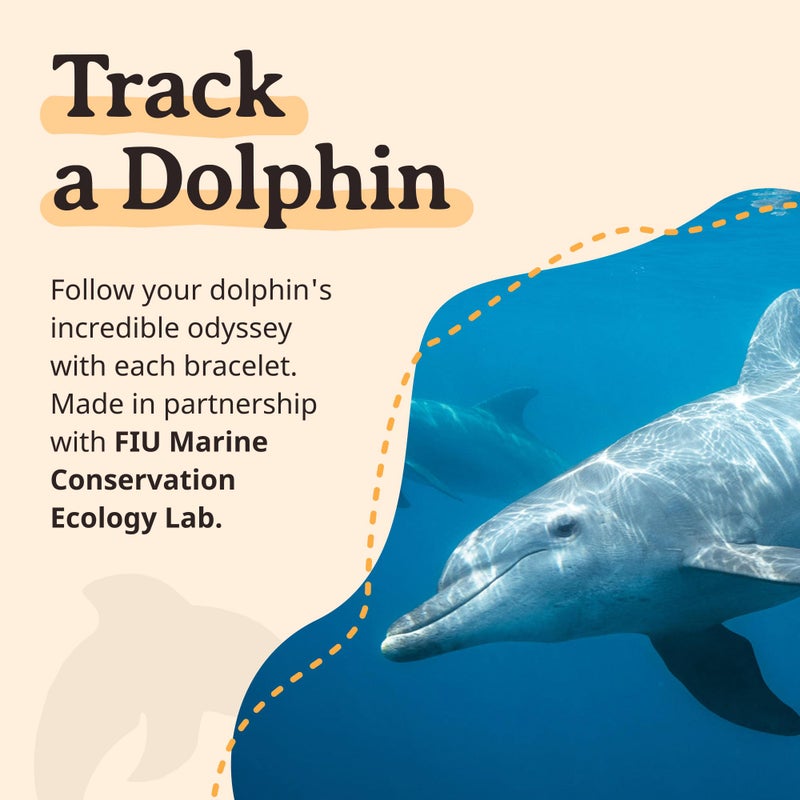 Fahlo Dolphin Tracking Bracelet â€“ Elastic, One Size Fits Most â€“ Supports FIU Marine Mammal Ecology Lab â€“ Track a Real Dolphin on Interactive Mobile App Map â€“ Unisex Gift for Men & Women (Aqua Blue) - Image 5
