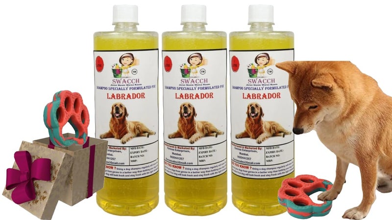 swacch Labrador Dog Shampoo + Paw Shape I Rubber Dog Toy for Training and Interactive I Durable & Safe I Combo Pack I 3 Litre Lemon - Image 1