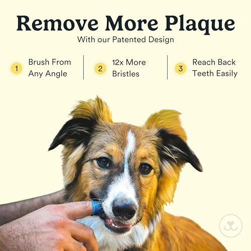 Jasper Dog Toothbrush 360 Degree Pet Tooth Brushing Kit Cat Toothbrush Canine Dental Care Teeth Cleaning Kit Pet Finger Tooth Brush Use with Dog Toothpaste 16Pack Blue - Image 3