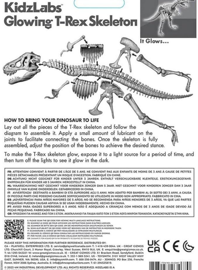 4M KidzLabs Glow T-Rex Skeleton – Assemble a 3D Glow-in-the-Dark Dinosaur Model – STEM Educational Toy for Kids Ages 8+ – Learn Paleontology & Prehistoric Fun | 00-03467 - Image 4