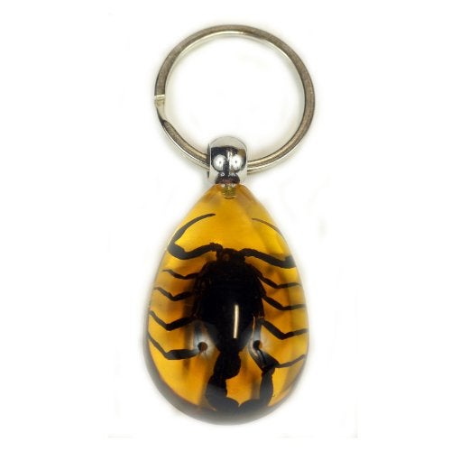 REALBUG Black Scorpion Key Chain Tear Drop Amber - Image 1