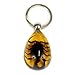 REALBUG Black Scorpion Key Chain Tear Drop Amber - Image 3