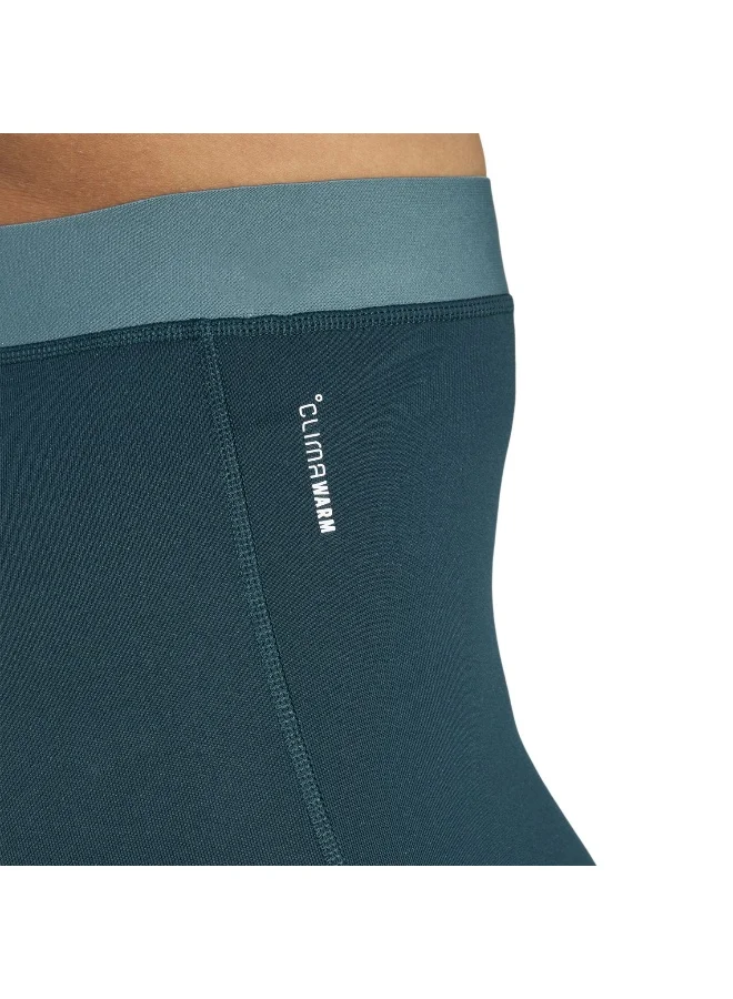Adidas AURIVY Terrex Xperior Brushed Tights for Women | Best Price UAE