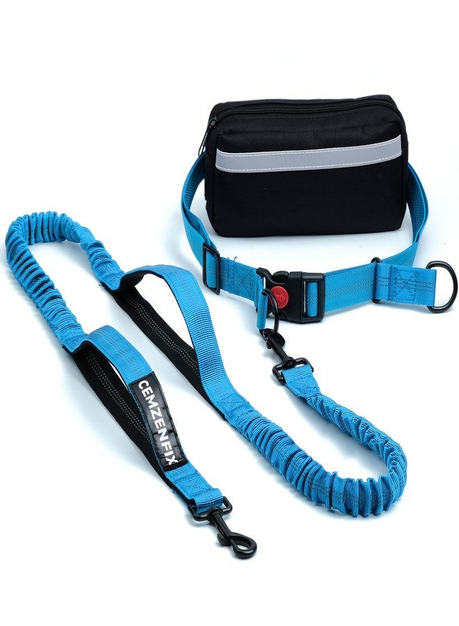 CEMZENFIX Hands Free Dog Leash with Waist Belt – No-Pull Bungee, Dual Padded Handles & Zipper Pouch for Running, Walking & Training – Adjustable Waist Leash for Large & Medium Dogs - Image 1
