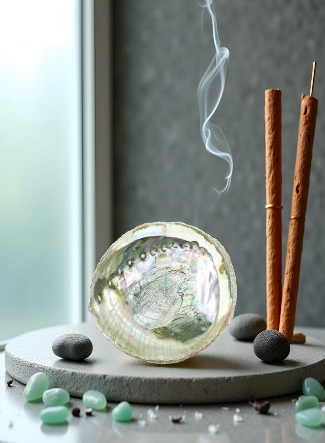 Zhuluck Colorful Large Abalone Shell Bowl 4-4.5 Inch Natural Smudge Bowl for Sage Burning and Incense Sea Shell Smudging Bowl for Decor and Display, Incense Holders - Image 3